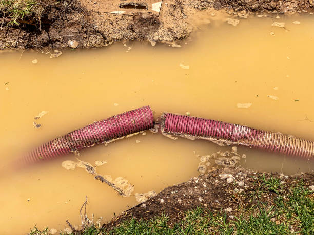 Best 24-hour water damage restoration  in Carlisle, KY